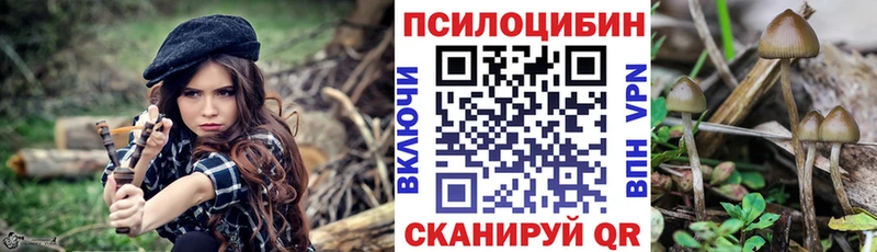 дарк нет Telegram Вольск Псилоцибиновые грибы ЛСД хочу наркоту