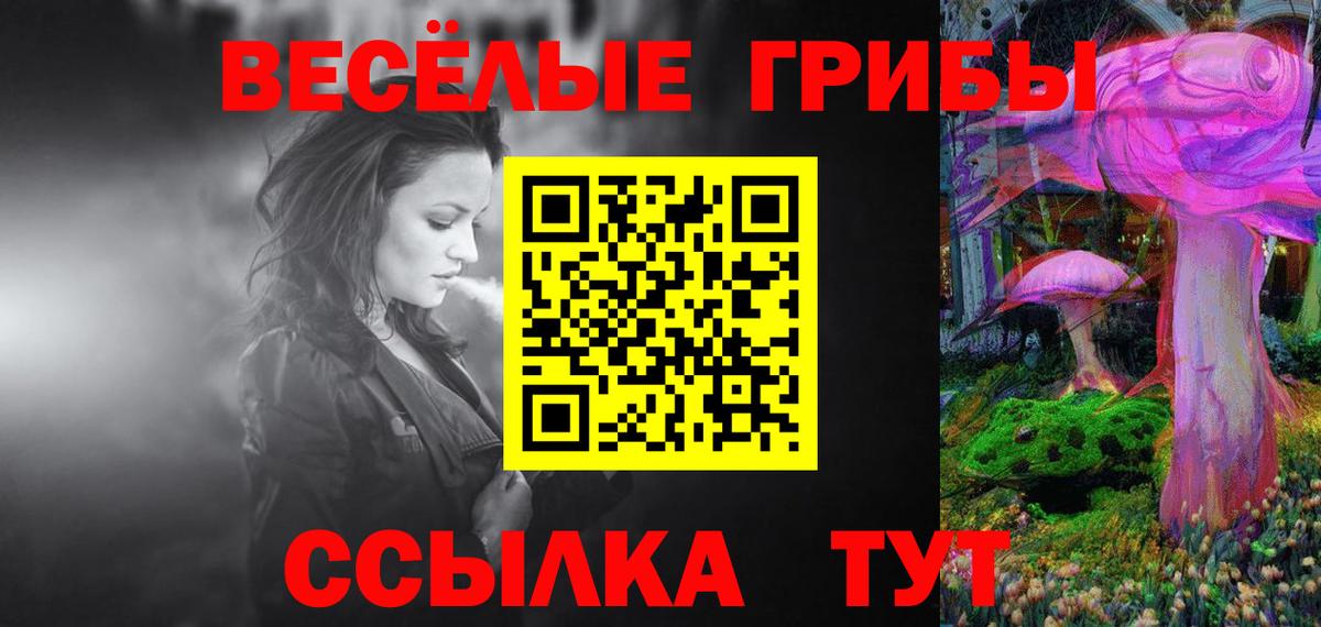 Вольск  Псилоцибиновые грибы мухоморы  Галлюциногенные грибы GOLDEN TEACHER  Вход с VPN 