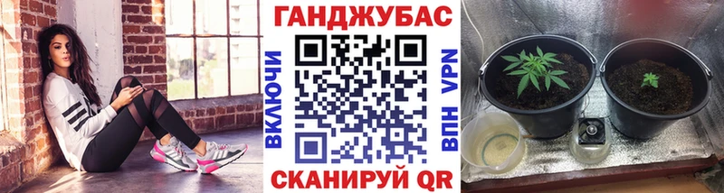 Шишки марихуана индика Вольск